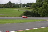IMG_3554.JPG